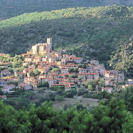 Gite Le Canigou 3* Dans Un Mas Typique Catalan Prades  Exterior photo