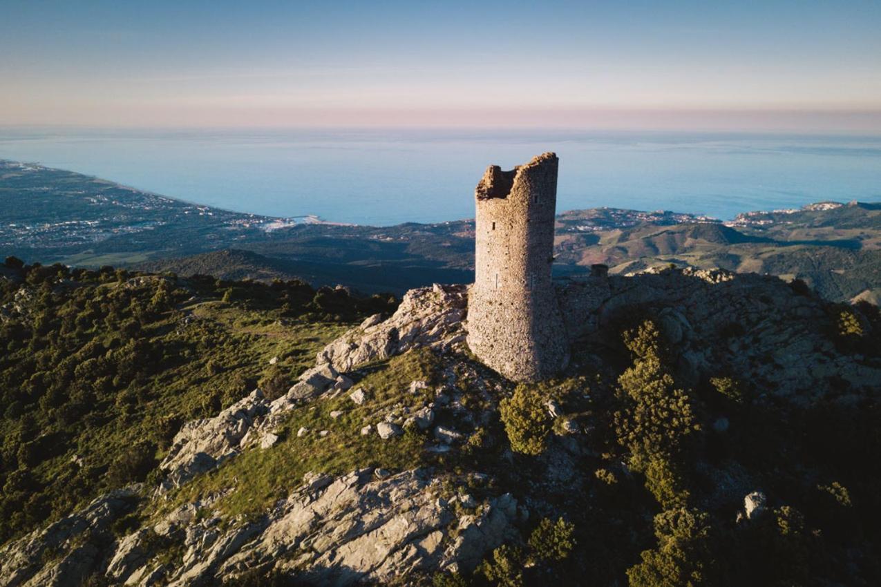 Gite Le Canigou 3* Dans Un Mas Typique Catalan Prades  Exterior photo