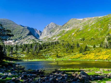 Gite Le Canigou 3* Dans Un Mas Typique Catalan Prades  Exterior photo