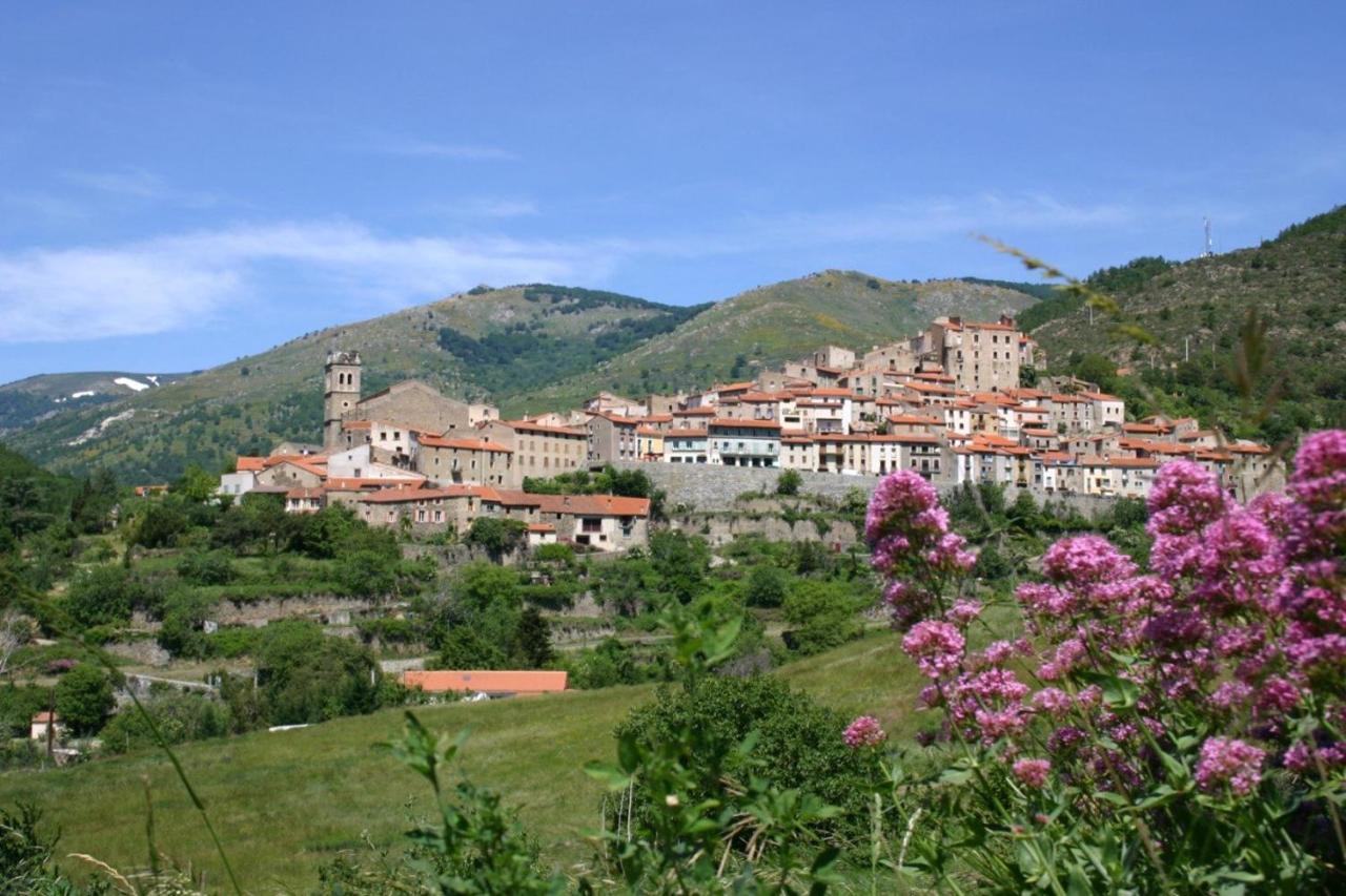 Gite Le Canigou 3* Dans Un Mas Typique Catalan Prades  Exterior photo