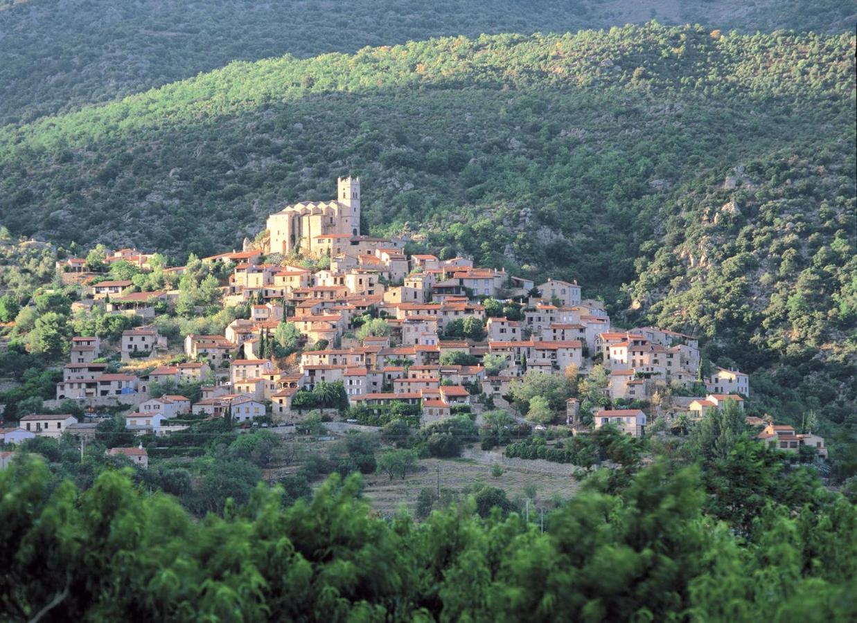 Gite Le Canigou 3* Dans Un Mas Typique Catalan Prades  Exterior photo